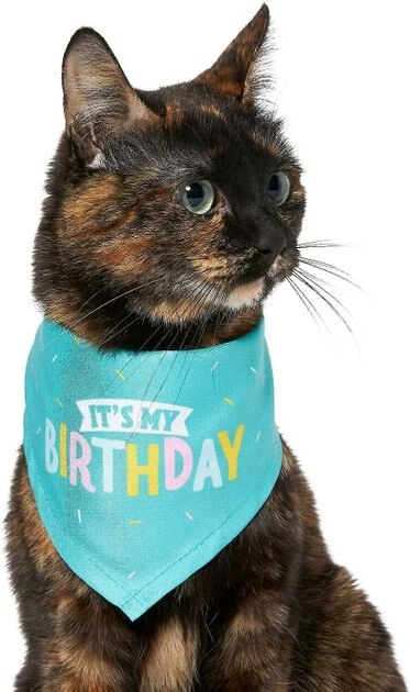 Frisco Birthday Bandana, X-Small/Small + Dog & Cat Crown, X-Small/Small 6 Frisco Birthday Bandana, X-Small/Small + Dog & Cat Crown, X-Small/Small - Image 4