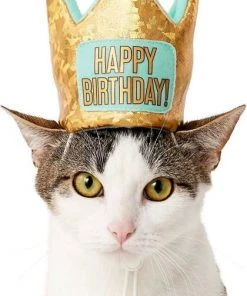 Frisco Birthday Bandana, X-Small/Small + Dog & Cat Crown, X-Small/Small 15 Frisco Birthday Bandana, X-Small/Small + Dog & Cat Crown, X-Small/Small -Frisco Sales 2024 302372 PT4. SY630 V1633061817