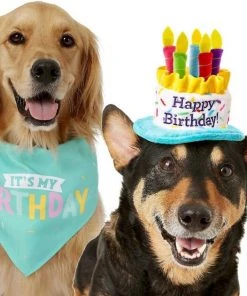 Frisco Birthday B&ana, X-Small/Small + Dog & Cat Hat, X-Small/Small -Frisco Sales 2024 302374 PT2. SY630 V1633061815