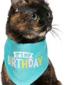 Frisco Birthday B&ana, X-Small/Small + Dog & Cat Hat, X-Small/Small -Frisco Sales 2024 302374 PT3. SY630 V1633076486