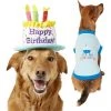 Frisco Birthday Cake Hat, Medium/Large + Dog & Cat T-Shirt, Blue -Frisco Sales 2024 302376 MAIN. SY630 V1623052351
