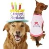 Frisco Birthday Cake Hat, Medium/Large + Dog & Cat T-Shirt, Pink -Frisco Sales 2024 302384 MAIN. SY630 V1623062548
