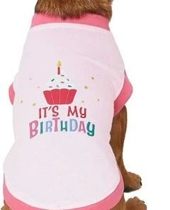 Frisco Birthday Cake Hat, Medium/Large + Dog & Cat T-Shirt, Pink 16 Frisco Birthday Cake Hat, Medium/Large + Dog & Cat T-Shirt, Pink -Frisco Sales 2024 302384 PT5. SY630 V1623084453