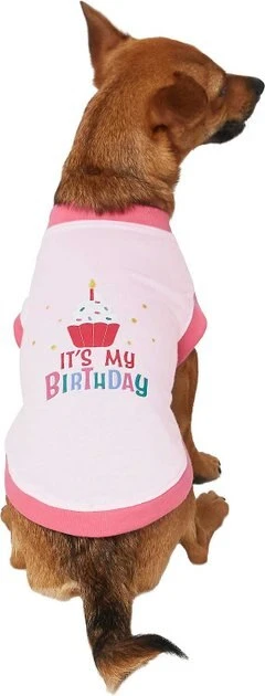 Frisco Birthday Cake Hat, Medium/Large + Dog & Cat T-Shirt, Pink 8 Frisco Birthday Cake Hat, Medium/Large + Dog & Cat T-Shirt, Pink - Image 6