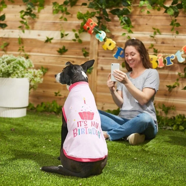 Frisco Birthday Cake Hat, Medium/Large + Dog & Cat T-Shirt, Pink 10 Frisco Birthday Cake Hat, Medium/Large + Dog & Cat T-Shirt, Pink - Image 8