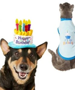 Frisco Birthday Cake Hat, X-Small/Small + Dog & Cat T-Shirt, Blue