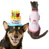 Frisco Birthday Cake Hat, X-Small/Small + Dog & Cat T-Shirt, Pink -Frisco Sales 2024 302396 MAIN. SY630 V1623088054