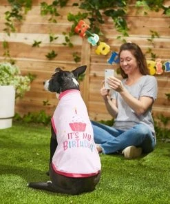 Frisco Birthday Cake Hat, X-Small/Small + Dog & Cat T-Shirt, Pink -Frisco Sales 2024 302396 PT7. SY630 V1623090765