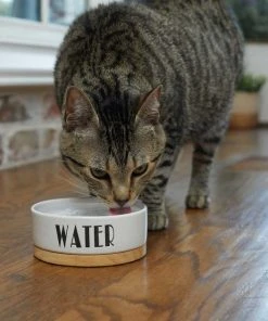 Frisco Ceramic Dog & Cat Water + Food Bowl with Wood Base -Frisco Sales 2024 302414 PT3. SY630 V1623051143