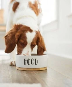 Frisco Ceramic Dog Bowl with Wood Base, 2.5 Cups + Treat Jar, 4 Cups 15 Frisco Ceramic Dog Bowl with Wood Base, 2.5 Cups + Treat Jar, 4 Cups -Frisco Sales 2024 302418 PT4. SY630 V1623088650