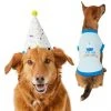 Frisco Confetti Birthday Hat, Medium/Large + Dog & Cat T-Shirt, Blue