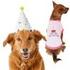 Frisco Confetti Birthday Hat, Medium/Large + Dog & Cat T-Shirt, Pink -Frisco Sales 2024 302434 MAIN. SY630 V1623046658