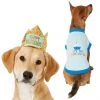 Frisco Happy Birthday Crown, Medium/Large + Dog & Cat T-Shirt, Blue 2 Frisco Happy Birthday Crown, Medium/Large + Dog & Cat T-Shirt, Blue -Frisco Sales 2024 302454 MAIN. SY630 V1623063780