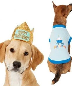 Frisco Happy Birthday Crown, Medium/Large + Dog & Cat T-Shirt, Blue