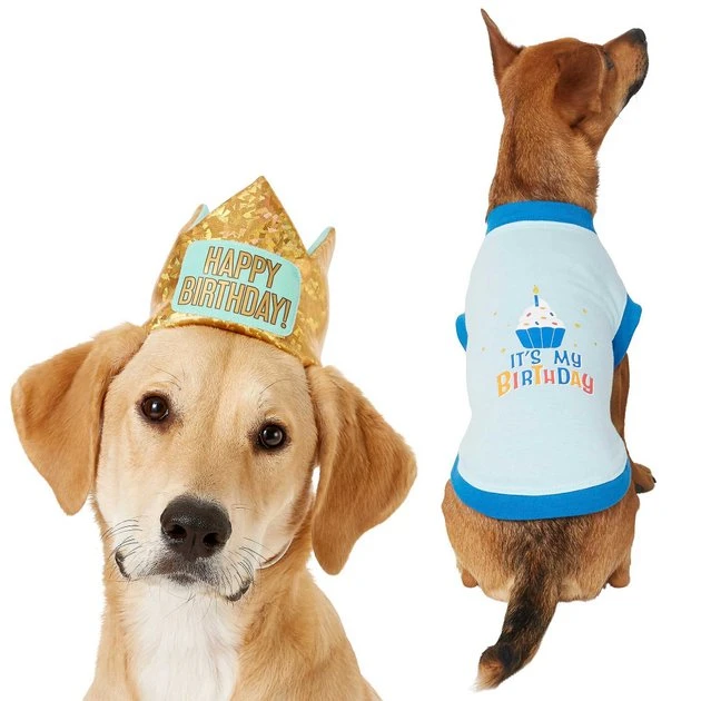 Frisco Happy Birthday Crown, X-Small/Small + Dog & Cat T-Shirt, Blue 3 Frisco Happy Birthday Crown, X-Small/Small + Dog & Cat T-Shirt, Blue