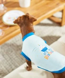 Frisco Happy Birthday Crown, X-Small/Small + Dog & Cat T-Shirt, Blue 18 Frisco Happy Birthday Crown, X-Small/Small + Dog & Cat T-Shirt, Blue -Frisco Sales 2024 302470 PT7. SY630 V1623037657