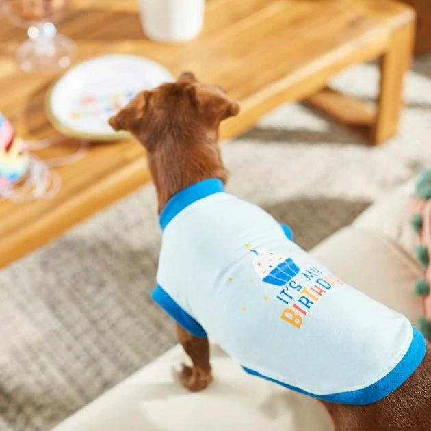 Frisco Happy Birthday Crown, X-Small/Small + Dog & Cat T-Shirt, Blue 10 Frisco Happy Birthday Crown, X-Small/Small + Dog & Cat T-Shirt, Blue - Image 8