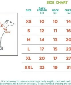 Frisco Happy Birthday Crown, X-Small/Small + Dog & Cat T-Shirt, Blue 19 Frisco Happy Birthday Crown, X-Small/Small + Dog & Cat T-Shirt, Blue -Frisco Sales 2024 302470 PT8. SY630 V1623075757