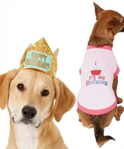Frisco Happy Birthday Crown, X-Small/Small + Dog & Cat T-Shirt, Pink