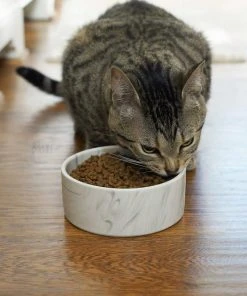 Frisco Marble Design Non-skid Ceramic Dog Bowl + Treat Jar with Wood Lid, 3.75 Cups -Frisco Sales 2024 302482 PT4. SY630 V1623034666