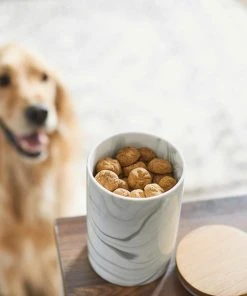 Frisco Marble Design Non-skid Ceramic Dog Bowl + Treat Jar with Wood Lid, 3.75 Cups -Frisco Sales 2024 302482 PT8. SY630 V1623037650