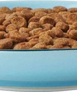 Frisco New York Non-skid Ceramic Dish, 0.50 Cup + Cat Bowl, 1.50 Cups -Frisco Sales 2024 302488 PT2. SY630 V1623059244