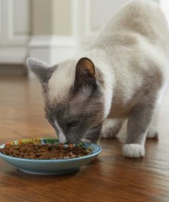 Frisco New York Non-skid Ceramic Dish, 0.50 Cup + Cat Bowl, 1.50 Cups -Frisco Sales 2024 302488 PT4. SY630 V1623069142