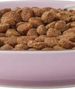 Frisco Paris Non-skid Ceramic Dish, 0.50 Cup + Cat Dish, 1.50 Cup -Frisco Sales 2024 302490 PT2. SY630 V1623058041