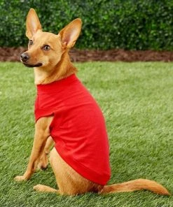 X - Frisco Basic Dog & Cat T-Shirt, Red + Teal, X-Large -Frisco Sales 2024 302654 PT3. SY630 V1623047250