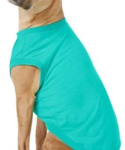 X - Frisco Basic Dog & Cat T-Shirt, Red + Teal, X-Large -Frisco Sales 2024 302654 PT5. SY630 V1623057449