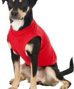 Frisco Basic T-Shirt, Red + Dog & Cat Hoodie, Red -Frisco Sales 2024 302662 PT4. SY630 V1633128173