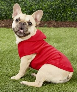 Frisco Basic T-Shirt, Red + Dog & Cat Hoodie, Red -Frisco Sales 2024 302662 PT8. SY630 V1623091356