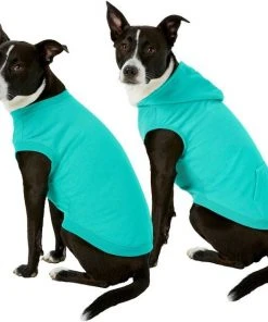 Frisco Basic T-Shirt, Teal + Dog & Cat Hoodie, Teal -Frisco Sales 2024 302676 PT2. SY630 V1633127879