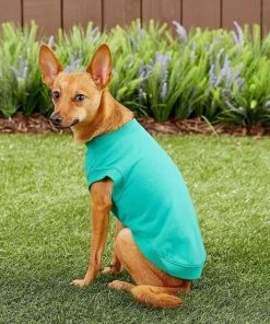 Frisco Basic T-Shirt, Teal + Dog & Cat Hoodie, Teal -Frisco Sales 2024 302676 PT6. SY630 V1633127770