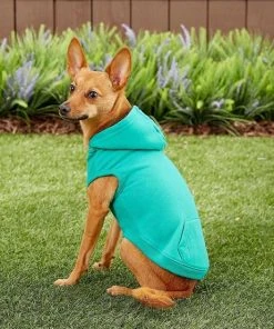 Frisco Basic T-Shirt, Teal + Dog & Cat Hoodie, Teal -Frisco Sales 2024 302676 PT7. SY630 V1633123351