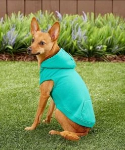 Frisco Basic T-Shirt, Teal + Dog & Cat Hoodie, Teal -Frisco Sales 2024 302676 PT8. SY630 V1623057743