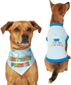 Frisco Birthday Prince Bandana, Medium/Large + Dog & Cat T-Shirt, Blue -Frisco Sales 2024 302690 PT2. SY630 V1633059989
