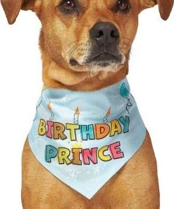 Frisco Birthday Prince Bandana, Medium/Large + Dog & Cat T-Shirt, Blue -Frisco Sales 2024 302690 PT3. SY630 V1633075586