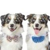 Frisco Plaid Dog & Cat Bow Tie, Orange & Blue + Blue -Frisco Sales 2024 302770 MAIN. SY630 V1623034656