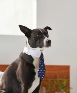 Frisco Plaid Dog & Cat Bow Tie, Orange & Blue + Polka Dot, Navy -Frisco Sales 2024 302784 PT7. SY630 V1623057462