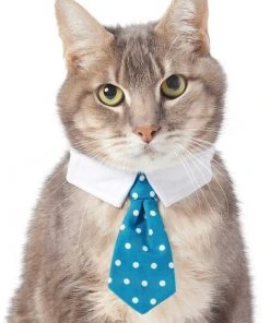 Frisco Plaid Dog & Cat Neck Tie, Blue Plaid + Polka Dot, Teal 16 Frisco Plaid Dog & Cat Neck Tie, Blue Plaid + Polka Dot, Teal -Frisco Sales 2024 302794 PT5. SY630 V1623084751