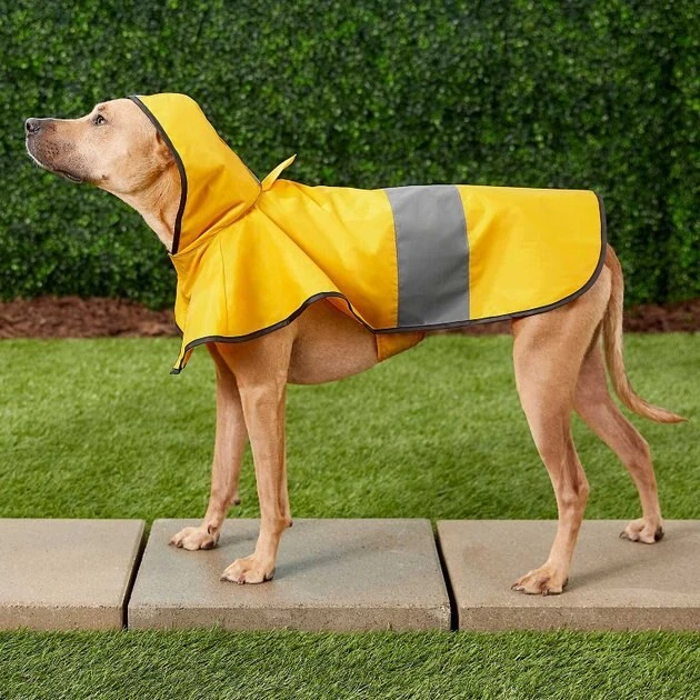 Frisco Rainy Days + Clear Vinyl Dog Raincoat 7 Frisco Rainy Days + Clear Vinyl Dog Raincoat - Image 5