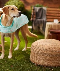 Frisco Rainy Days + Flamingo Dog Raincoat 17 Frisco Rainy Days + Flamingo Dog Raincoat -Frisco Sales 2024 302824 PT7. SY630 V1623040066