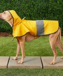 Frisco Rainy Days + Rubber Ducky Dog Raincoat -Frisco Sales 2024 302838 PT4. SY630 V1623089243