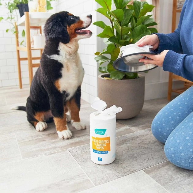 Catit||Frisco Catit Flower Plastic Fountain, 100-oz + Frisco Pet Toy & Bowl Cleaning Wipes 10 Catit||Frisco Catit Flower Plastic Fountain, 100-oz + Frisco Pet Toy & Bowl Cleaning Wipes - Image 8