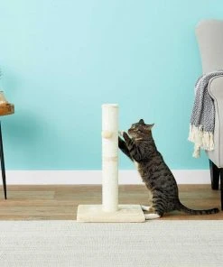 Frisco 21-in Sisal Scratching Post with Toy, Cream + Felt Removable Hood Cave Cat & Dog Covered Bed, Brown -Frisco Sales 2024 303320 PT3. SY630 V1623051757