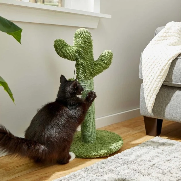 Frisco Cactus Cat Scratching Post, 22-in + Plush Squeaking Burrito Dog Toy 6 Frisco Cactus Cat Scratching Post, 22-in + Plush Squeaking Burrito Dog Toy - Image 4