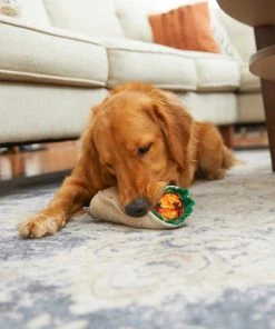 Frisco Cactus Cat Scratching Post, 22-in + Plush Squeaking Burrito Dog Toy 15 Frisco Cactus Cat Scratching Post, 22-in + Plush Squeaking Burrito Dog Toy -Frisco Sales 2024 303376 PT6. SY630 V1623079956