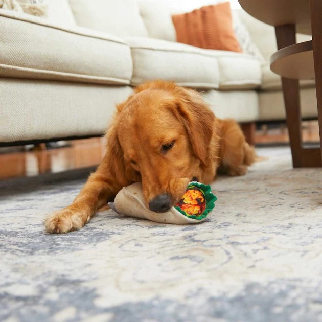 Frisco Cactus Cat Scratching Post, 22-in + Plush Squeaking Burrito Dog Toy 9 Frisco Cactus Cat Scratching Post, 22-in + Plush Squeaking Burrito Dog Toy - Image 7