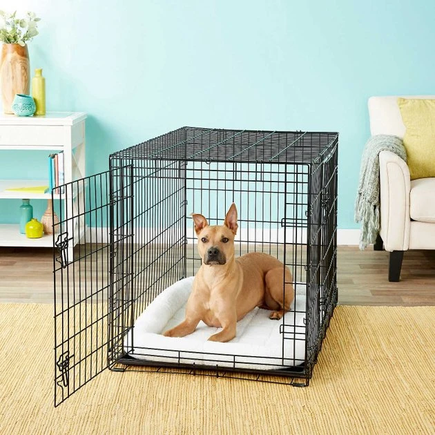 Frisco Fold & Carry Double Door Collapsible Wire Crate, 42 inch + Giant Dog Training & Potty Pads, 27.5 x 44-in, 30 count, Unscented 7 Frisco Fold & Carry Double Door Collapsible Wire Crate, 42 inch + Giant Dog Training & Potty Pads, 27.5 x 44-in, 30 count, Unscented - Image 5